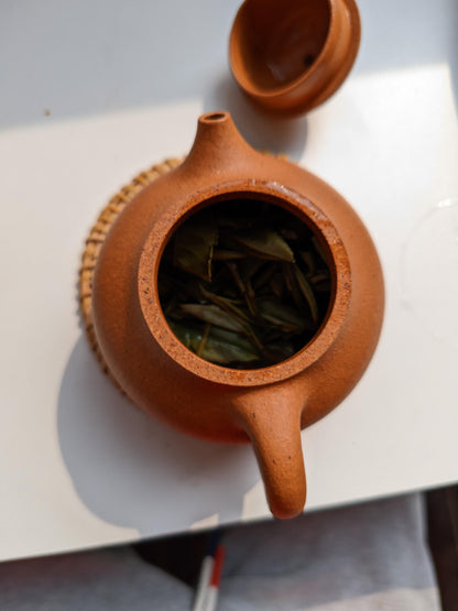Yixing Zisha Teapot in Natural Duanni Clay - 120cc Elegant Bumpy Pomelo Design
