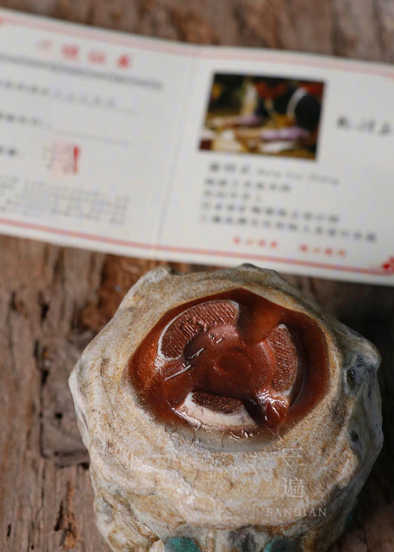 Zen Artistry: Handcrafted Shino Tea Cup with Ancient Wisdom
